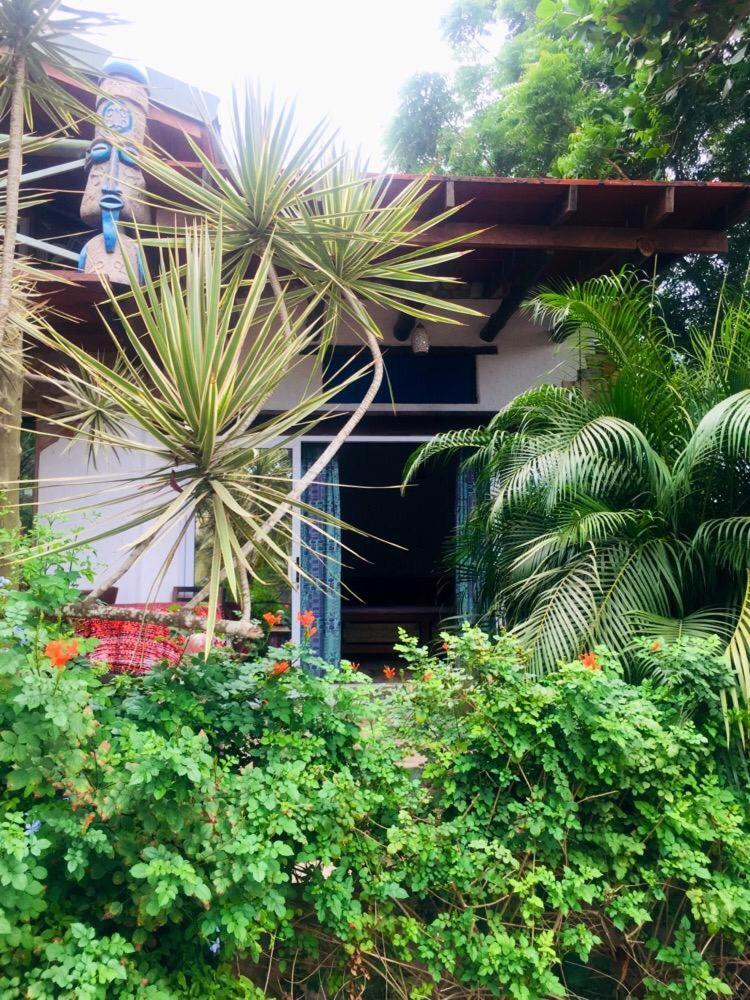 Kokrobite Garden Luaran gambar